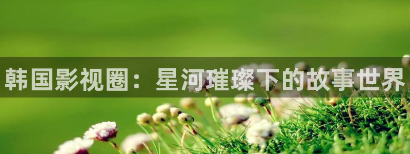 沉浸式轨道影院：韩国影视圈：星河璀璨下的故事世界
