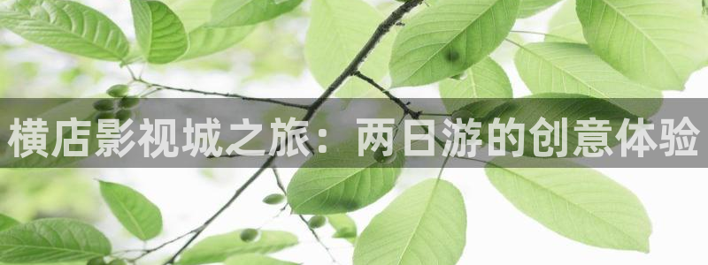 巅峰轨道影院：横店影视城之旅：两日游的创意体验