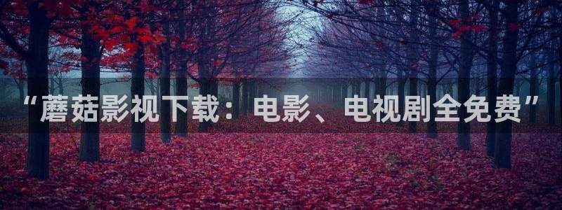 5d轨道影院：“蘑菇影视下载：电影、电视剧全免费”