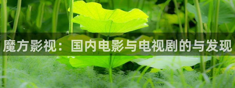轨道电影：魔方影视：国内电影与电视剧的与发现