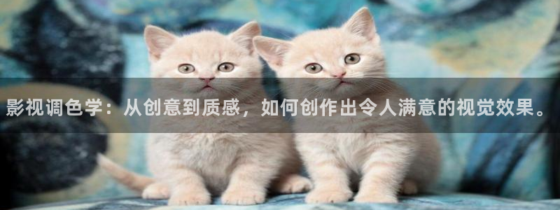 立体轨道影院：影视调色学：从创意到质感，如何创作出令人满意的视觉效果。