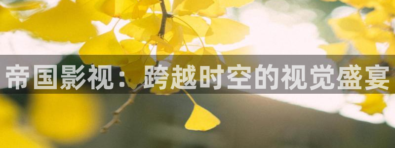 轨道影院投资